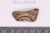 Sherd