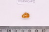 Pre-formed rough out Beads