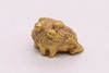 Gold nugget