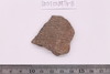 Sherd