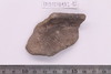 Sherd