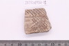 Sherd