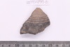 Sherd