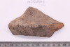 Sherd