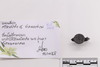 Mixed object in packaging