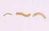 Gold wirework