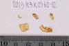 Gold scrap