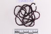 strand Bead