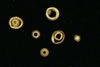 Gold Bead
