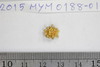 Gold Pendant