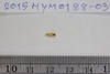 Gold Bead