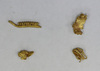 Gold scrap