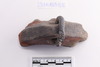 Sherd
