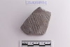 Sherd