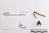 Mixed object in packaging