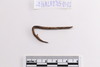 Fishing Rod