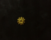 Gold Bead