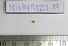 Gold Bead