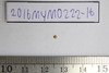 Gold - unknown function