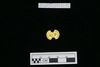 Gold Bead