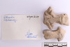 Mixed object in packaging