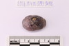 Collared Bead