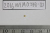 Gold Bead