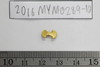 Gold Bead
