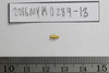 Gold Bead