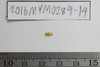 Gold Bead