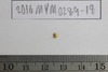 Gold Bead