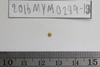 Gold Bead