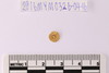 Gold - unknown function