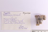 Mixed object in packaging