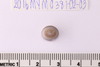 Intaglio & Cameos