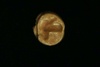 Gold Bead