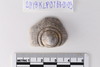 Piece of Stone casket