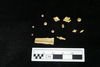 Gold Bead
