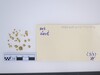 Gold Bead