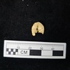 Gold Bead