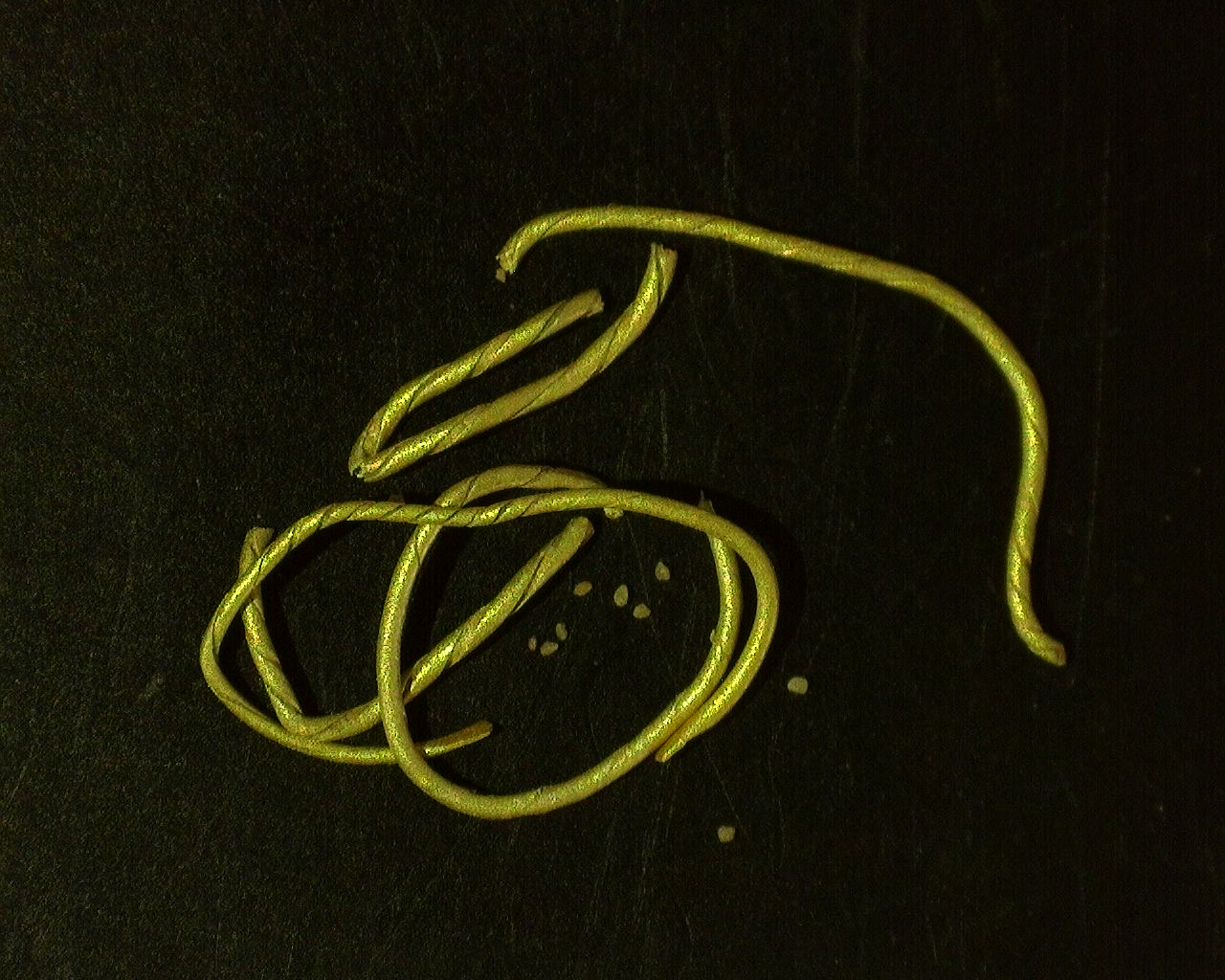 25670722_100549965.png