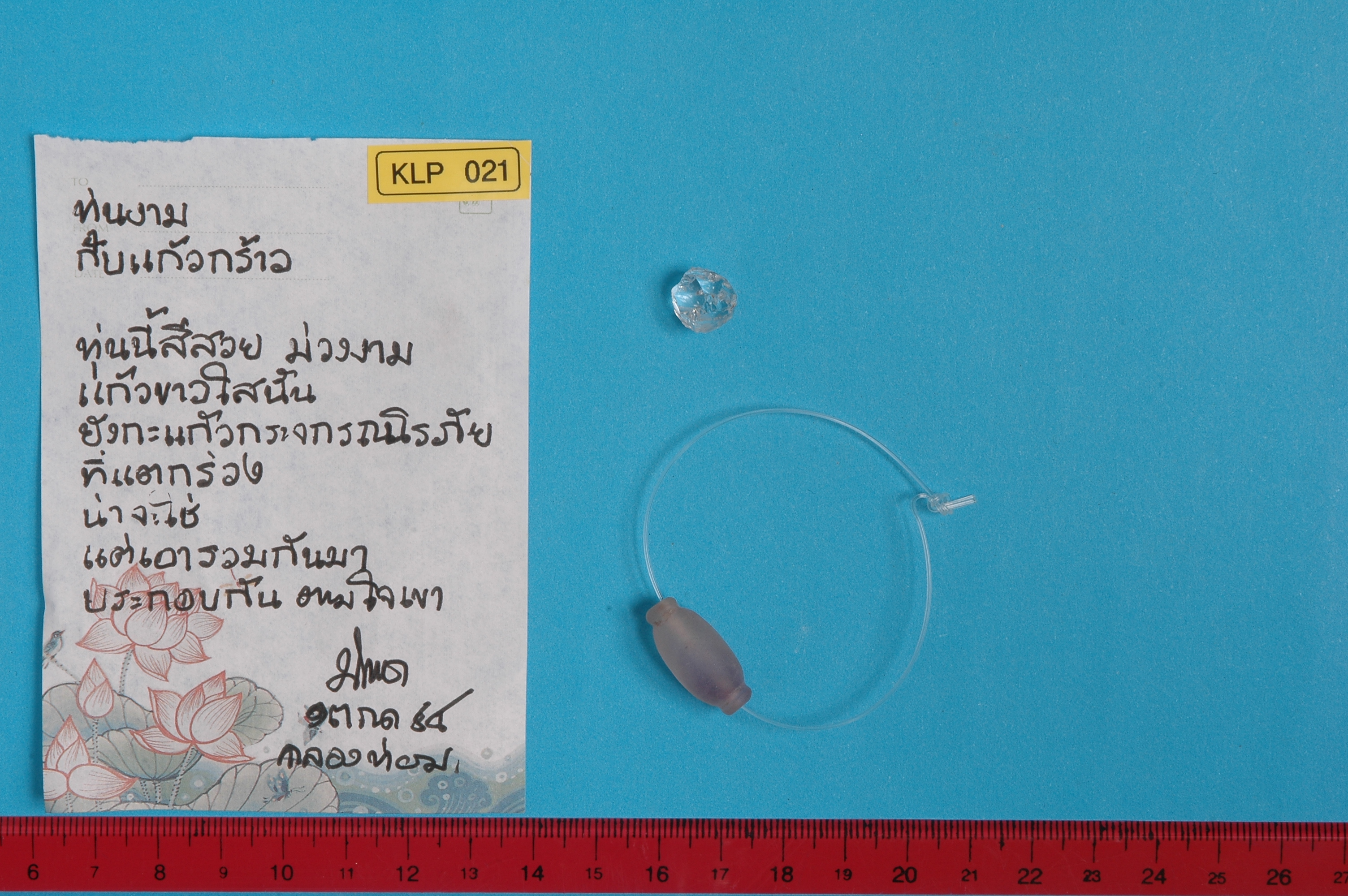 T_KLP_021.jpg
