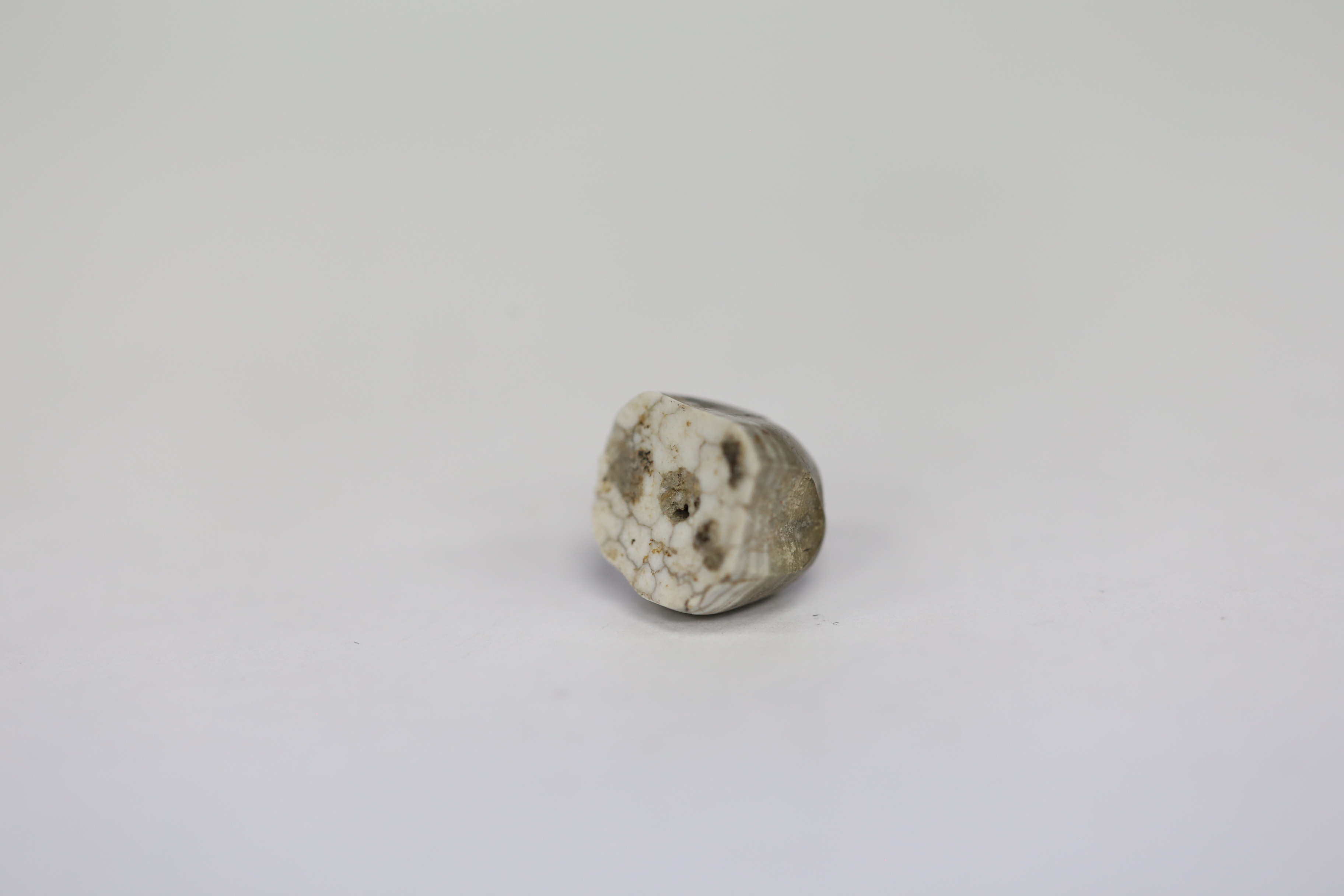 IMG_2894.JPG