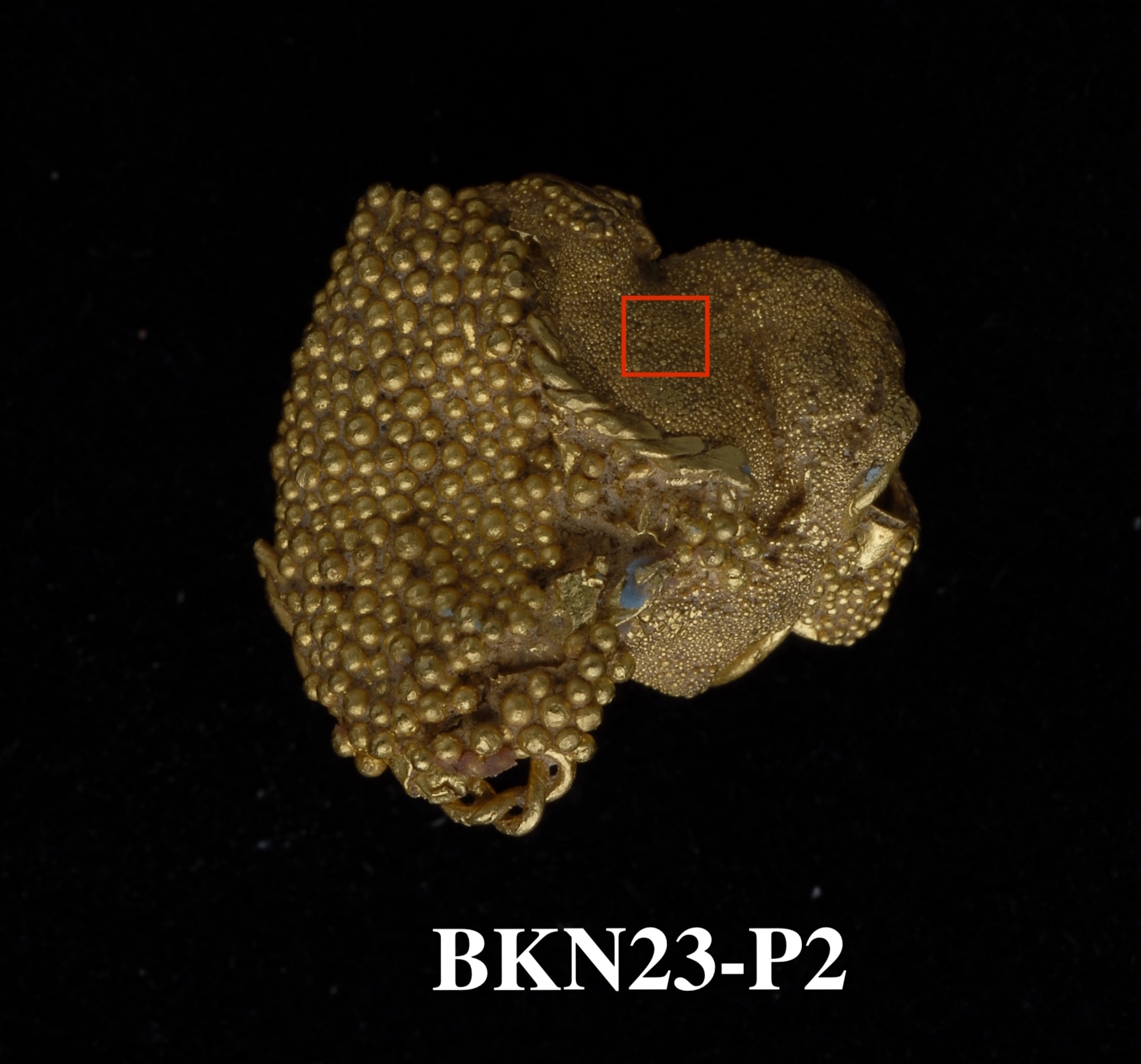 BKN_023-p2.jpg