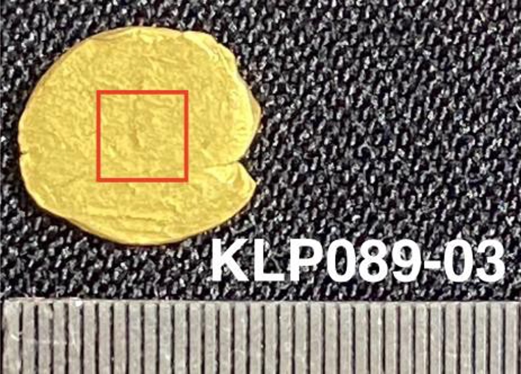 KLP89-03.jpg