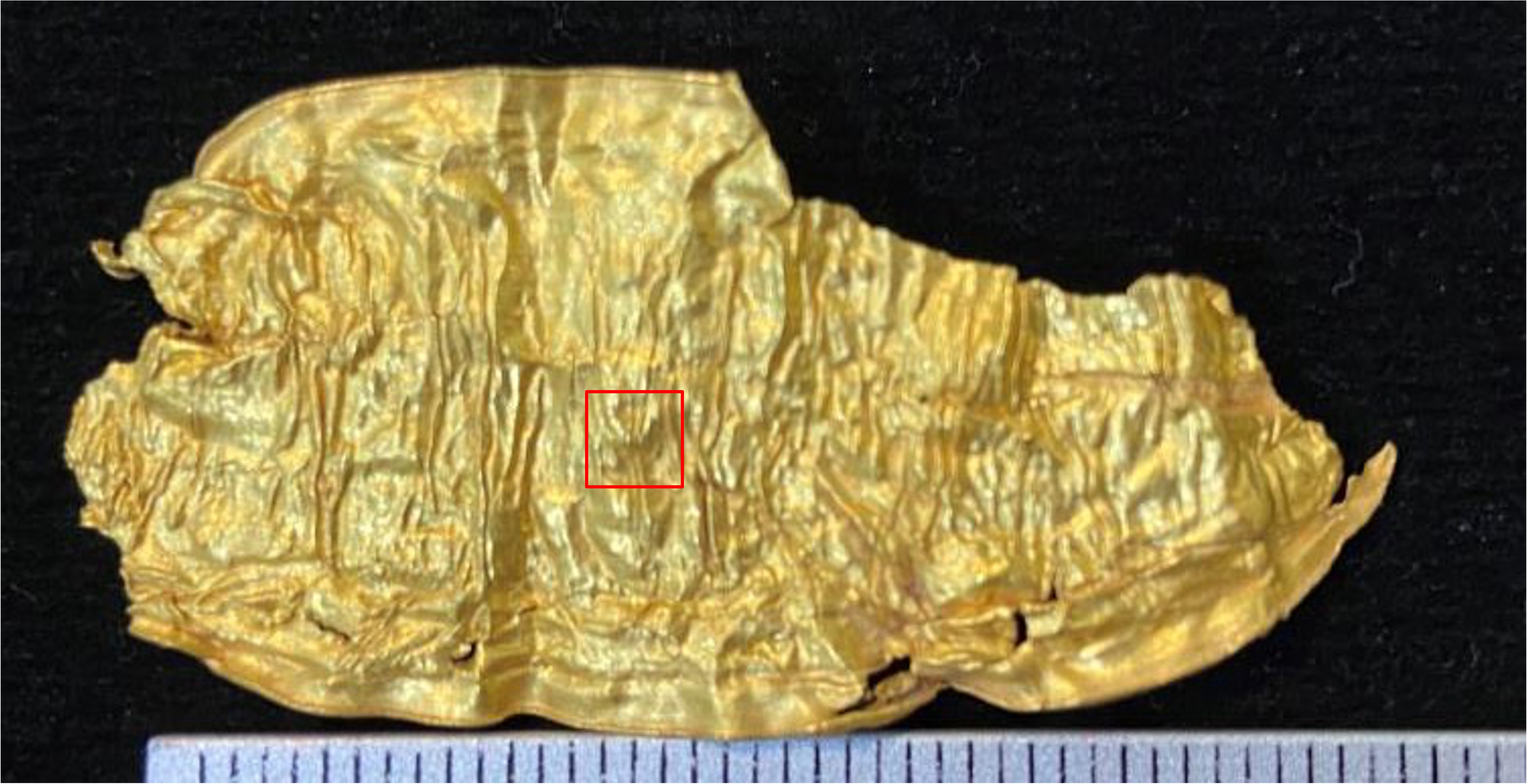PKT047-07.jpg