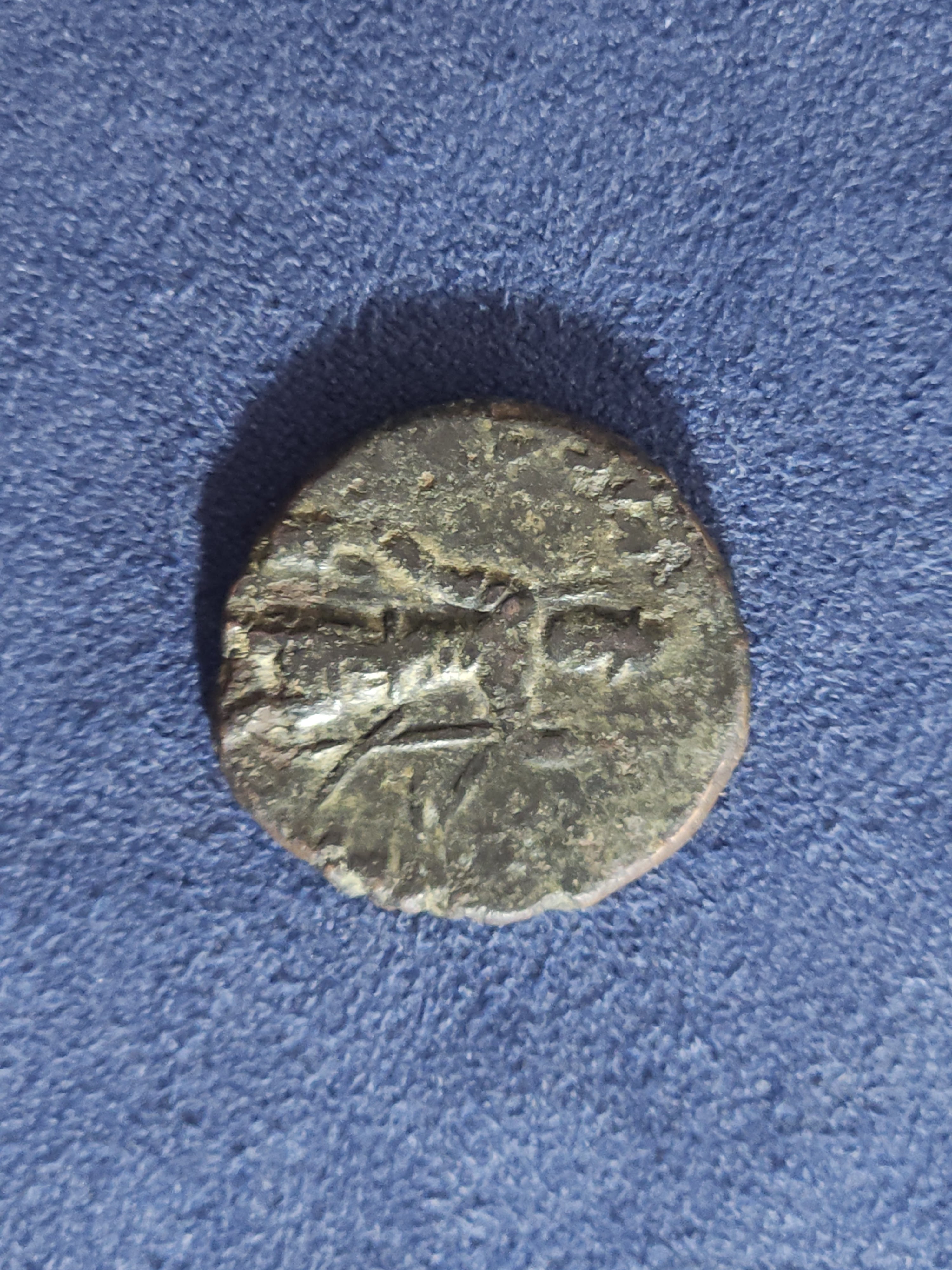 Coin