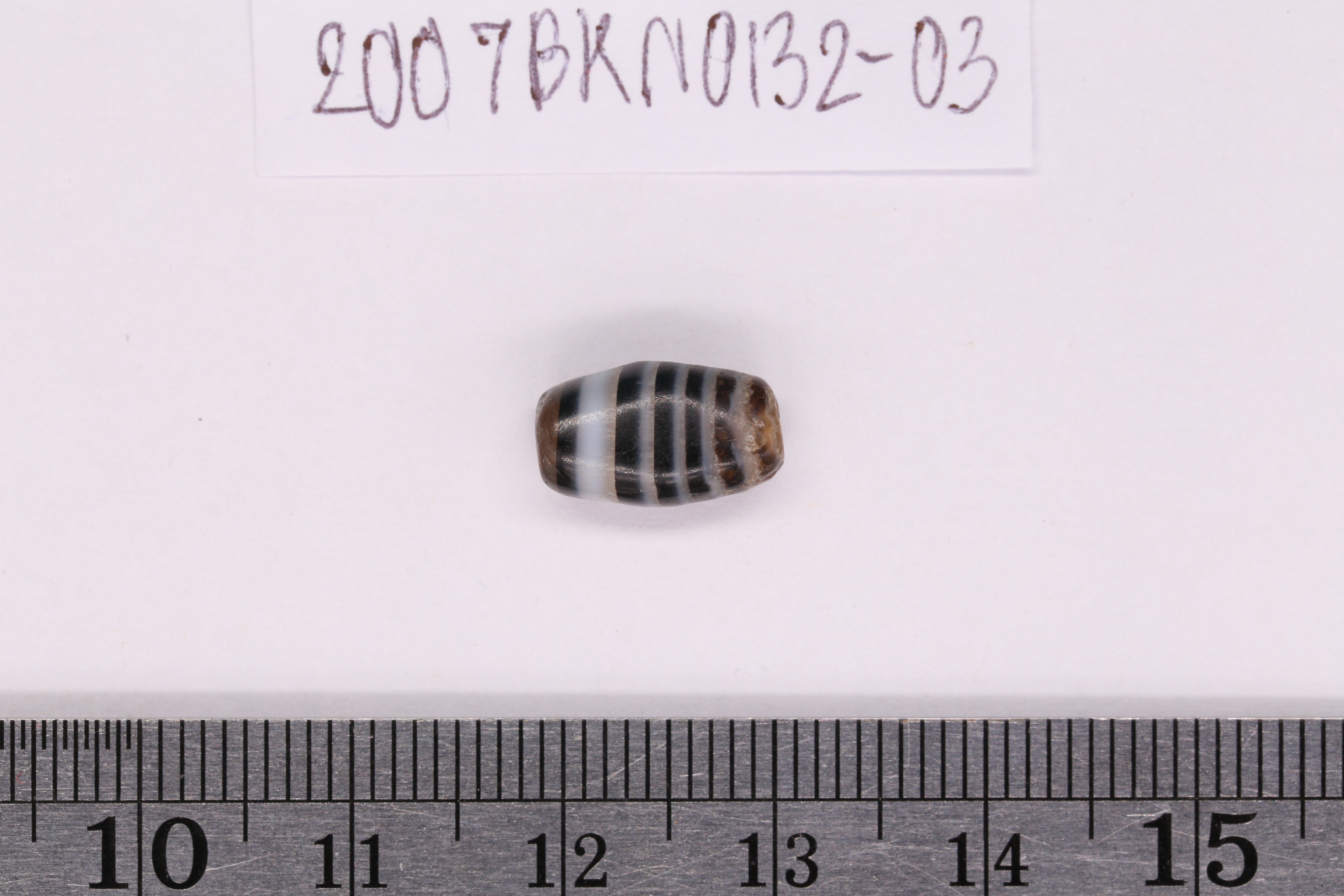 IMG_8065.JPG