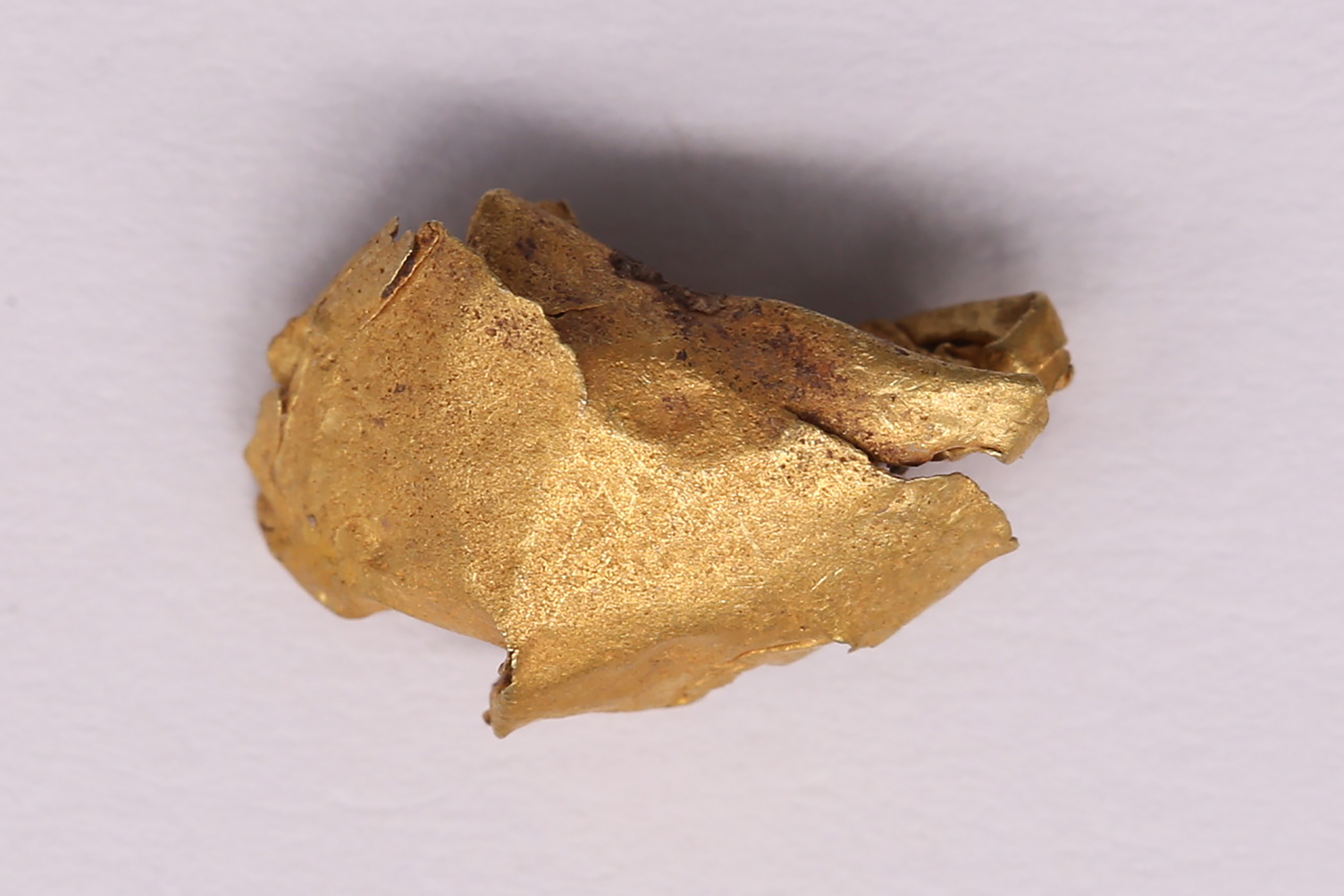 AIMG_2728.jpg