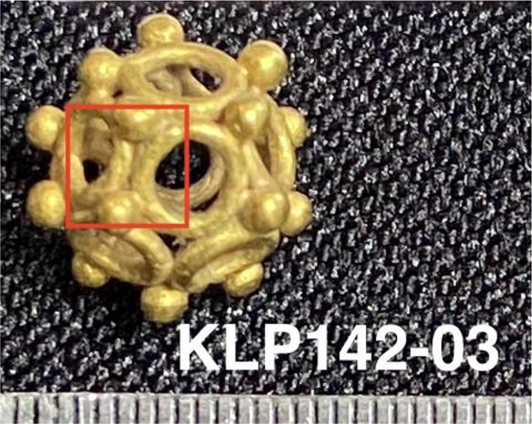 KLP142-03.jpg